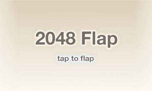 2048 Flap