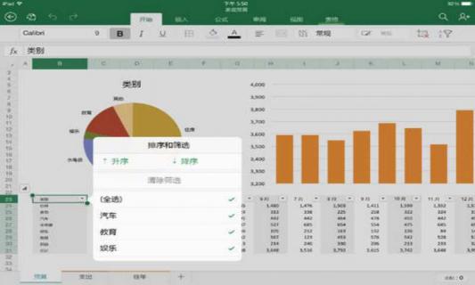 Microsoft Excel for iPad