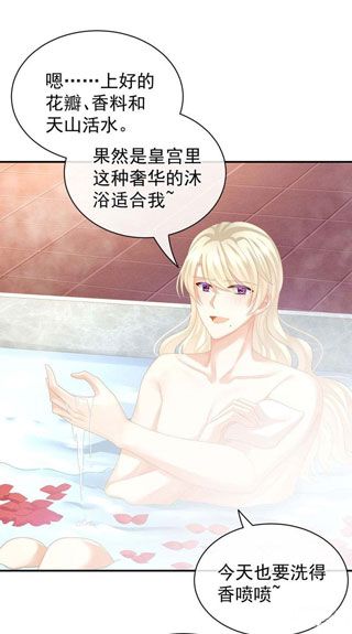 女帝的后宫漫画app