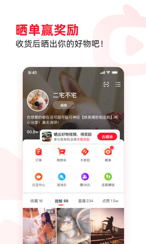 点淘网app