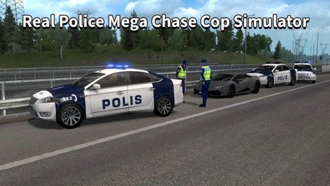 Thief Real Police Cop Simulator（模拟警车追逐战车）