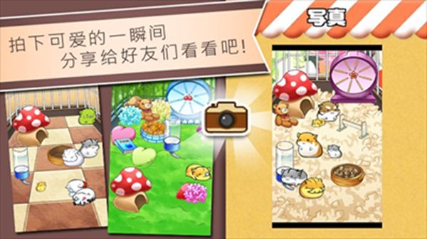 仓鼠的日常无限金币奶酪版中文版v4.7.6