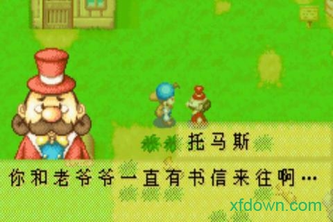 牧场物语矿石镇的伙伴们新版