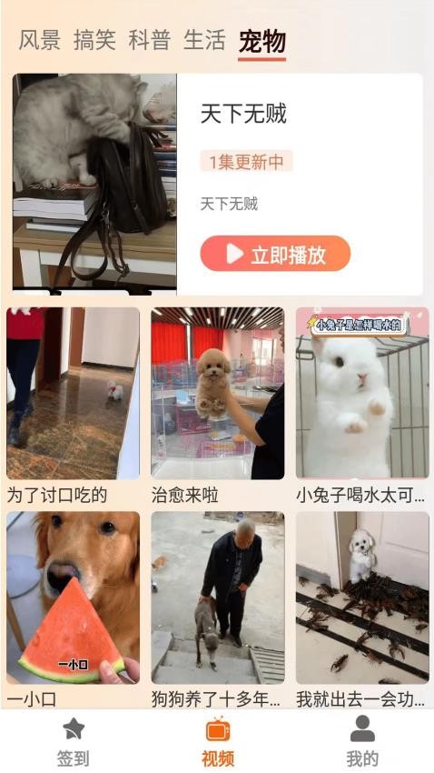 塔奇剧场app