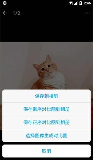 猫咪成长记最新版