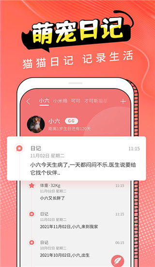 猫翻译app