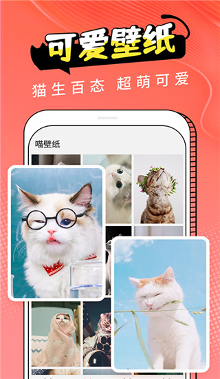 猫翻译app