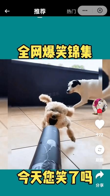 开心视频app