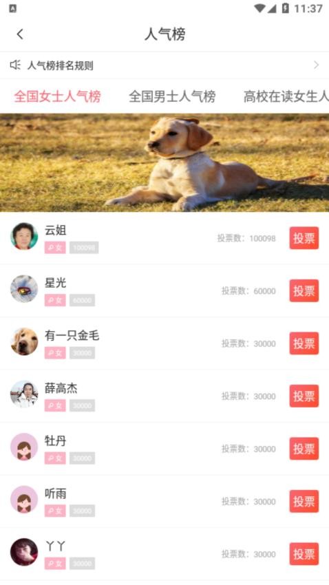 同城相亲app