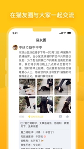 街猫app正版2024