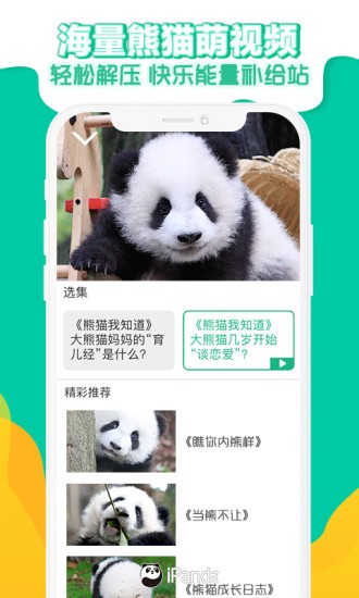 熊猫频道app