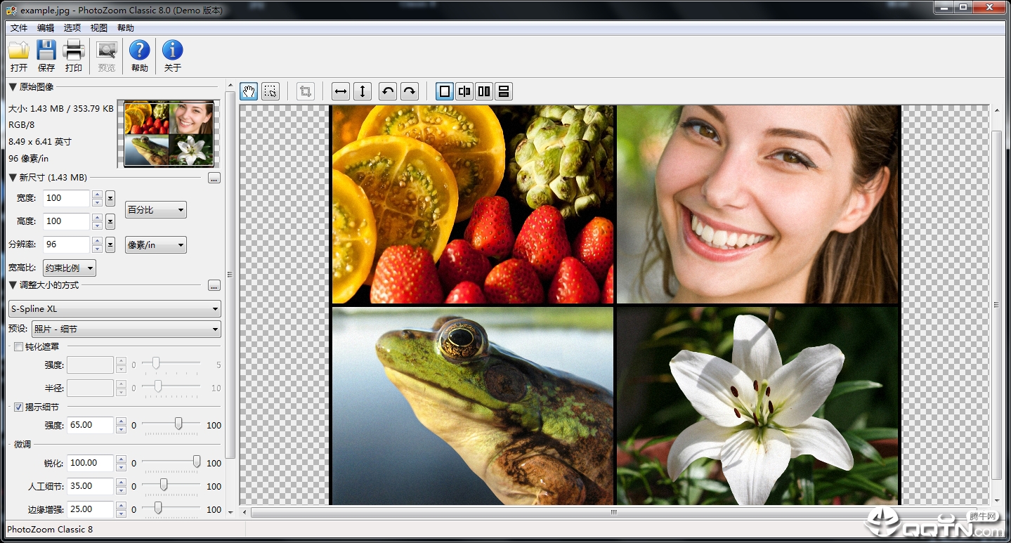 PhotoZoom Classicv8.0 WIN版